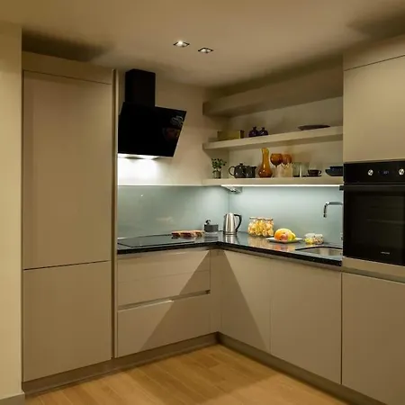 Brand-new 1 Bedroom With Balcony 公寓